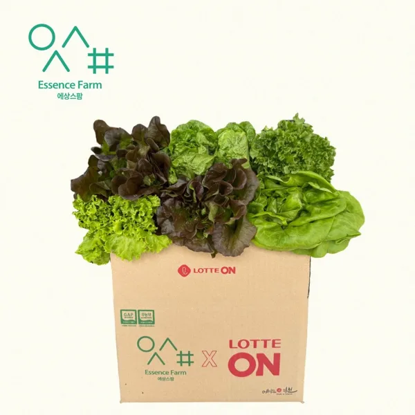유러피안 샐러드야채 모듬쌈 1kg