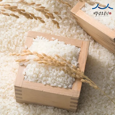 경기미 백진주쌀 10kg 25년산 단일품종 상등급