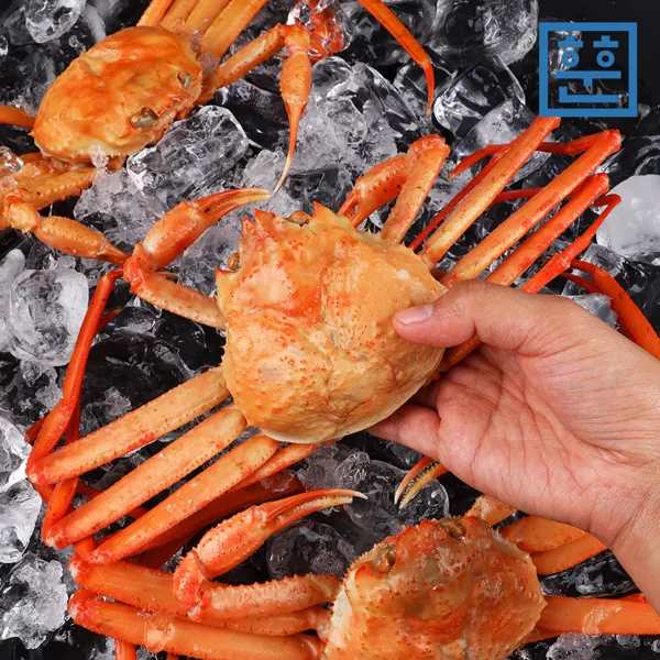 자숙홍게 2kg 7-10마리