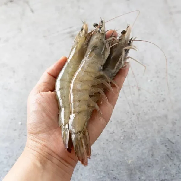 흰다리 횟감용 활새우 1kg(35미내외)